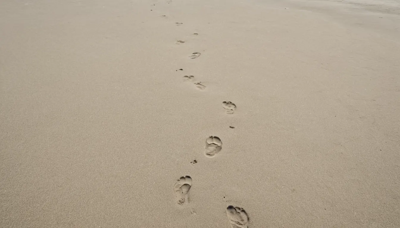友達が減っていく過程には、決定的な一日がない